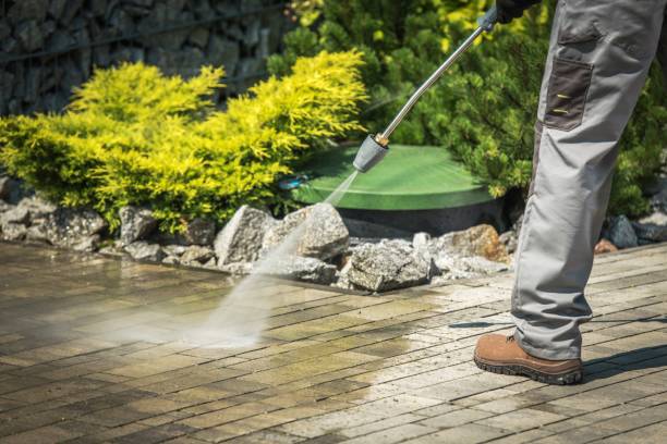 Best Restaurant Pressure Washing  in Collinsville, AL