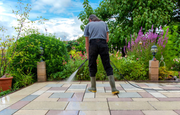 Best Winterizing Services  in Collinsville, AL