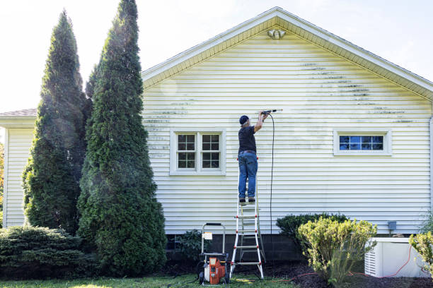 Professional Pressure Washing in Collinsville, AL