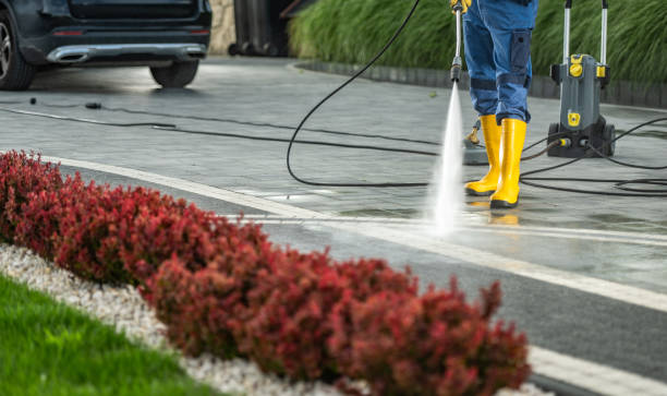 Best Roof Washing  in Collinsville, AL