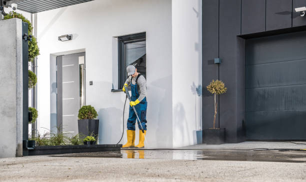 Best Animal Enclosure Cleaning  in Collinsville, AL